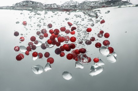 Red tempting berries swimming in the water with bubbles and ice の写真素材