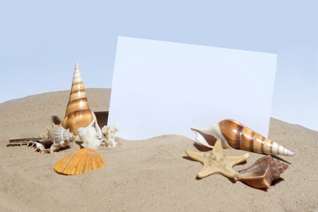 Different sea shells and starfish lying on the sand near the white sheet for copy placeの写真素材