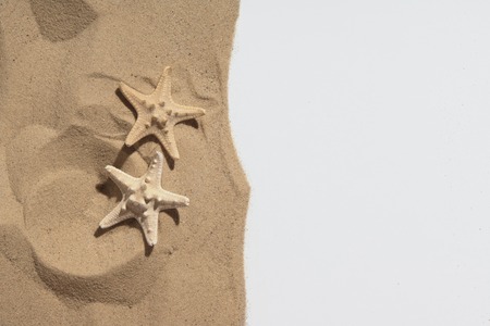 Two nice starfish lying on the sand near the white sheet for copy place の写真素材
