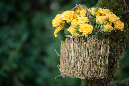Selected focus on wonderful twisted basket with nice yellow roses standing on the decorated green ladder on background