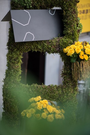 Selected focus on wonderful twisted baskets with nice yellow roses standing on the decorated green ladder の写真素材