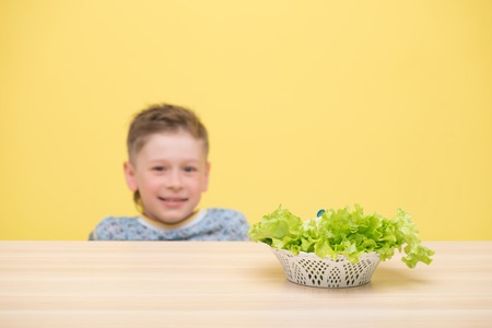Selective focus on the plateful of appetizing lettuce. A little smiling fair-haired boy sitting at the table on backgroundの写真素材
