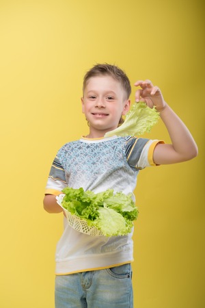 Half-length portrait of fair-haired smiling boy wearing cool shirt and blue baggies holding white plate with lettuce showing it to us. Isolated on yellow backgroundの写真素材