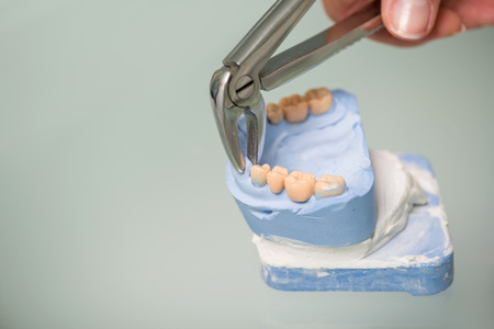 Dentist making some prosthetic appliance with the help of his equipment