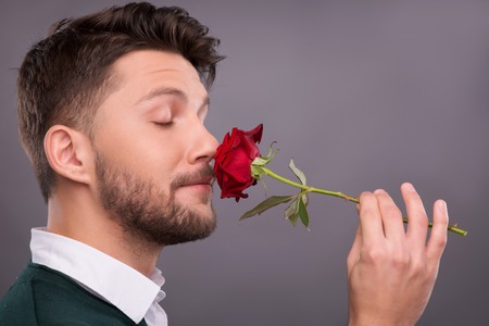 Half-length portrait of handsome young man holding a beautiful red rose wonderful gift for lover in his hands smelling it. Isolated on dark backgroundの写真素材