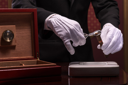 Selective focus on the hands of young aristocrat wearing costly black official costume and white gloves wanted to cut the tip of a Cuban cigarの写真素材