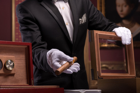 Selective focus on the hands of young aristocrat wearing costly black official costume and white gloves showing us his favorite Cuban cigarの写真素材