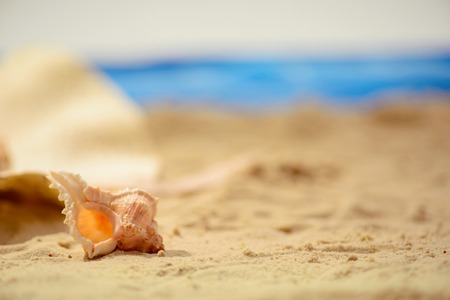 Unforgettable summer. Romantic composition of a beautiful seashell on the sand with a fragment of sea on the backgroundの写真素材