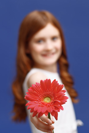 Sublime beauty. Close up of red flower with nice smiling girl holding it and standing isolated on blue background.の写真素材