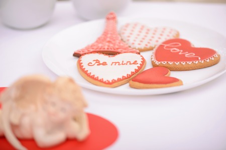 Enjoy yourself. Close up of nice holiday tasty cookies lying on the plate