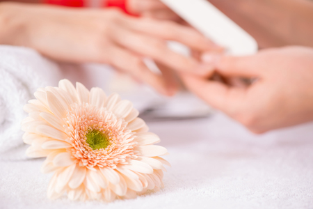 Close up of beautiful light flower lying on the table with professional manicurist making manicure in the backgroundの写真素材