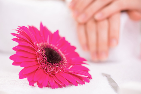 Pleasant beautiful flower lying on the table with nice hands of manicurist in the backgroundの写真素材