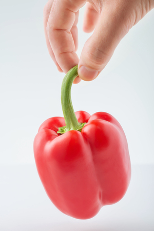 Ripe pepper. Human hand lifting and holding big red pepperの写真素材