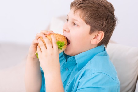 Eating a burger. Chubby boy is taking a bite off a cheeseburger while sitting on the sofa.の写真素材