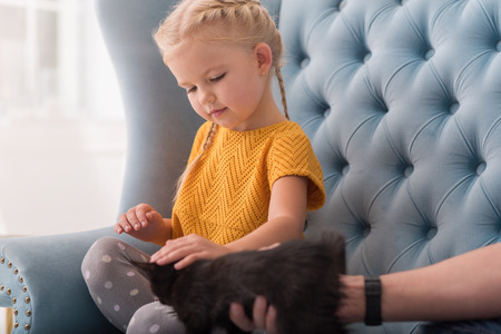 I love my pet. Nice sweet blond girl stretching out her hand and stroking a cat while sitting on the sofaの写真素材