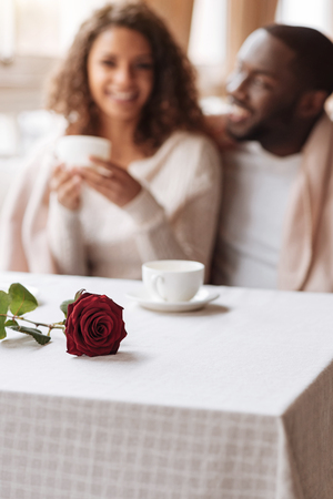 Our romantic date. Smiling joyful happy African American couple sitting in the cafe and being covered with a blanket while expressing happiness and having the dateの写真素材