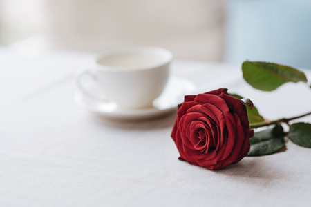 Table for a couple in the restaurant. Red beautiful flavored rose lying on the table in the restaurant while emitting the fragrancy and being near the cup of teaの写真素材