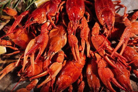 Close up of tasty crayfisheslying on pita