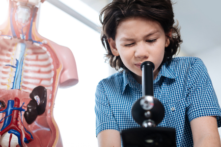 Curious focused boy studying bacteriaの写真素材