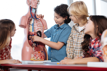 Incredible determined students fascinated about human anatomyの写真素材