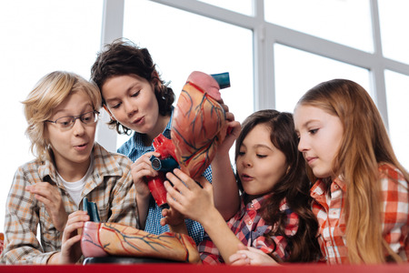 Curious observant students looking at how heart worksの写真素材