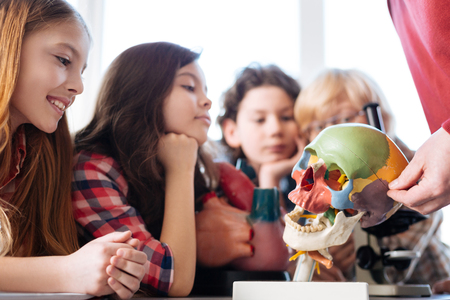Lovely attentive students listening to a lecturerの写真素材