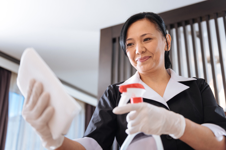 Positive cheerful hotel maid spraying the cleansing agentの写真素材