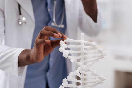 Close up of a scientists hand holding the DNA modelの写真素材