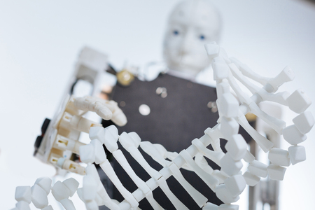 Elaborate robot holding a plastic model of the genomeの写真素材