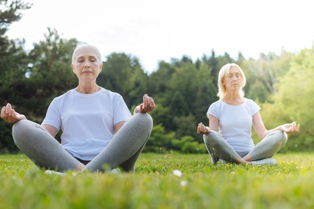 Two partners doing yoga on fresh airの写真素材