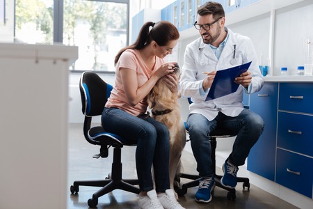Charming female looking at teeth of her dogの写真素材