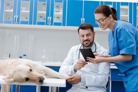 Smiling bearded man treating sick dogの写真素材