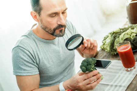 Concentrated occupied calm man sitting by the table holding the and magnifying glass examining a broccoli.の写真素材
