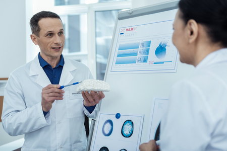 Reasons of head injures. Professional doctors holding brain model while discussing future operationの写真素材