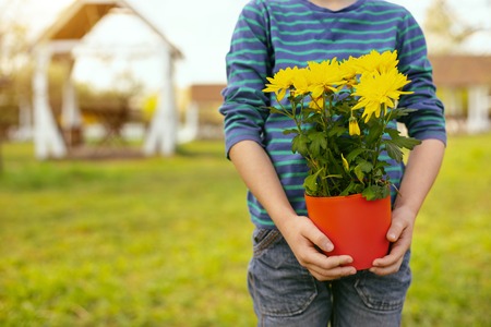 Floristic culture. Beautiful yellow flowers being in hands of a nice positive boyの写真素材