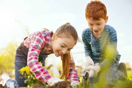 Pleasurable time. Delighted positive children having fun while working in the garden togetherの写真素材