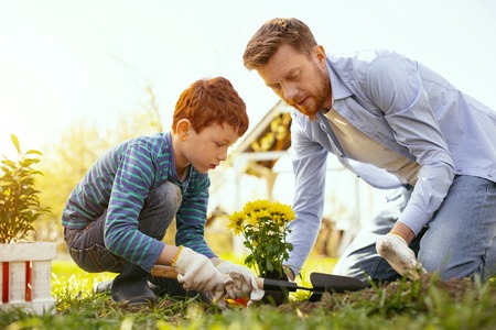 Pleasant collaboration. Delighted nice boy helping his father while working in the gardenの写真素材