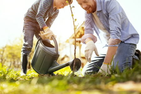 Family activity. Father and son sitting together on the ground while watering the treeの写真素材