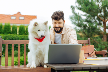 Smiling man. Bearded handsome man smiling broadly while showing photos on laptop his white dogの写真素材