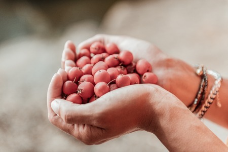 Bracelets and berries. Close up of young stylish woman wearing stylish bracelets on her hand holding nice red berriesの写真素材
