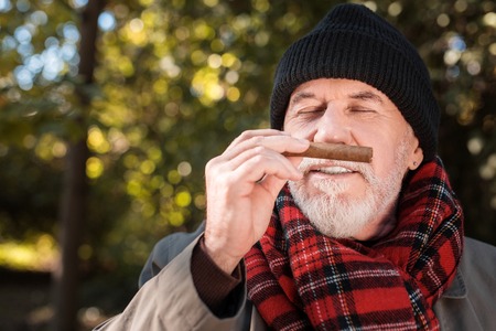 Joyful nice man putting cigar to his nose while enjoying its smellの写真素材