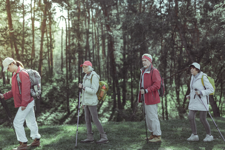 Spending time outdoor. A group of tourists having one day hikeの写真素材