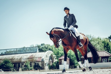 Keeping balance. Pleasant skilled man keeping balance while sitting on the horse backの写真素材