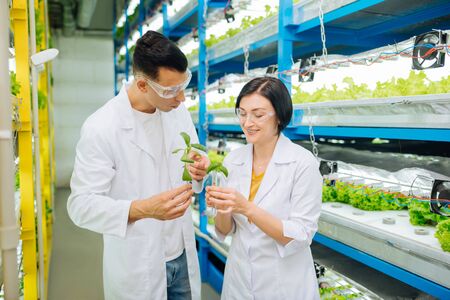 Agriculturist smiling. Female agriculturist smiling while talking to colleague and planting greensの写真素材