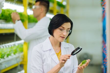 Wearing transparent glasses. Female professional agriculturist wearing transparent glasses using...