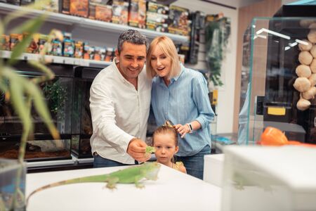 Feeding little iguana. Parents and daughter feeding involved in feeding little iguana in the pet...