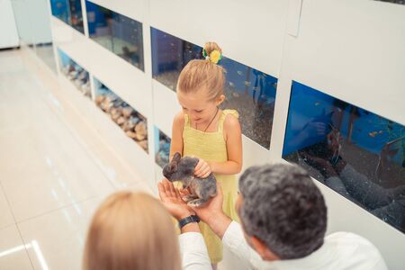 Daughter touching rabbit. Top view of cute daughter touching rabbit while coming to pet shop with parentsの写真素材