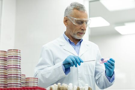 Interested in result. Attentive aged pharmacist wearing protective glasses while working at his...