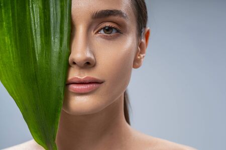 Without emotions. Pleased brunette covering half of her face with leaf while posing isolated on grayの写真素材
