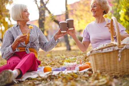 Two women raising their coffee cups during the morning picnicの写真素材